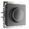 dimmer-grafit-matovyy-w1142064-a063110-0001