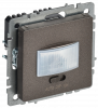 BR-MS10-N-150-05-K45
