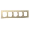 ramka-na-5-postov-shampan-alyuminiy-w0051711-a052316_0001