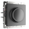 dimmer-grafit-matovyy-w1142064-a063110-0001