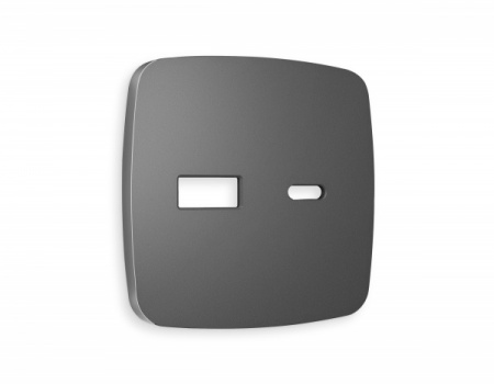 AMBRELLA Лицевая панель OMEGA Антрацит серый для роз. 2USB тип A+C QUANT