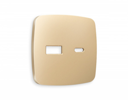 AMBRELLA Лицевая панель OMEGA Шампань для роз. 2USB тип A+C QUANT