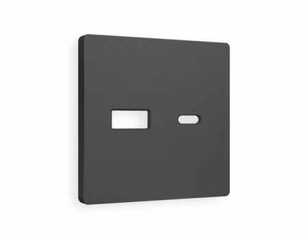 AMBRELLA Лицевая панель ALFA Графит Мягкое касание для роз. 2USB тип A+C QUANT