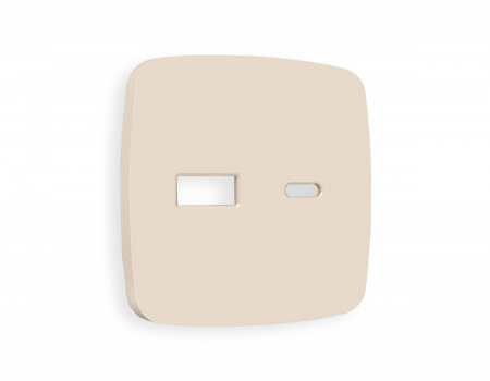 AMBRELLA Лицевая панель OMEGA Бежевый мат. для роз. 2USB A+C QUANT
