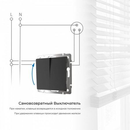 WERKEL Выключатель двухклавишный с самовозвратом (черный матовый) W1122408