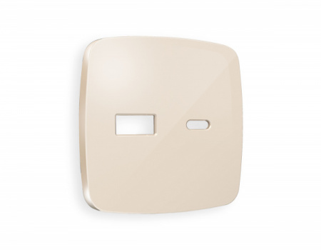 AMBRELLA Лицевая панель OMEGA Бежевый глянец для роз. 2USB тип A+C QUANT
