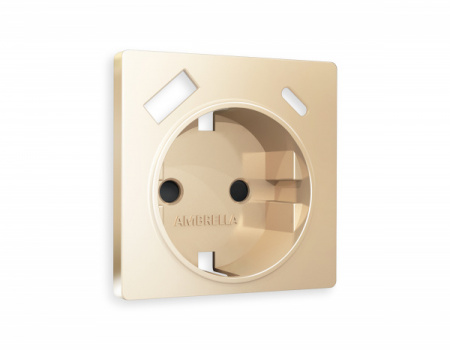 AMBRELLA Лицевая панель ALFA Шампань для электр. роз. с/з со шт. 2USB A+C QUANT
