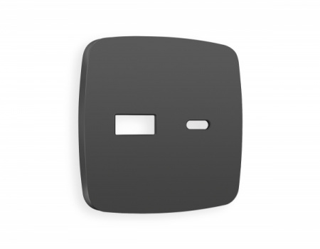 AMBRELLA Лицевая панель OMEGA Графит Мягкое касание для роз. 2USB тип A+C QUANT