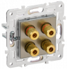SK-S40-K50