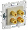 SK-S40-K10