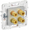 SK-S40-K23