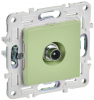 SK-A10-P-K06