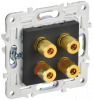 SK-S40-K53